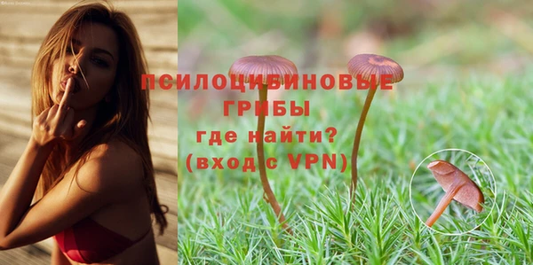 стафф Алексин