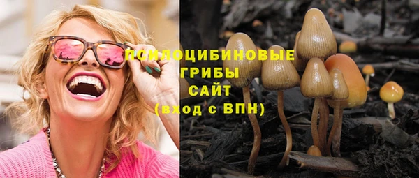 стафф Алексин