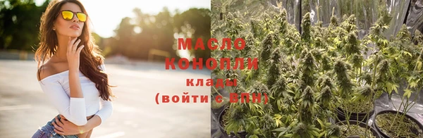 индика Армянск