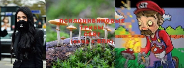 индика Армянск