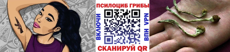 Псилоцибиновые грибы прущие грибы shop какой сайт Бронницы